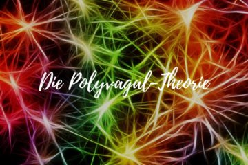 Die Polyvagal-Theorie