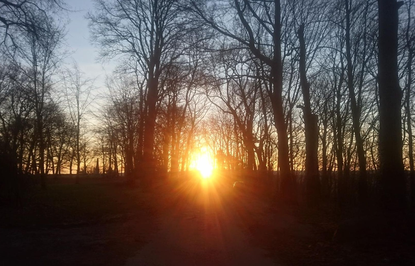 Sonnenaufgang beim Laufen